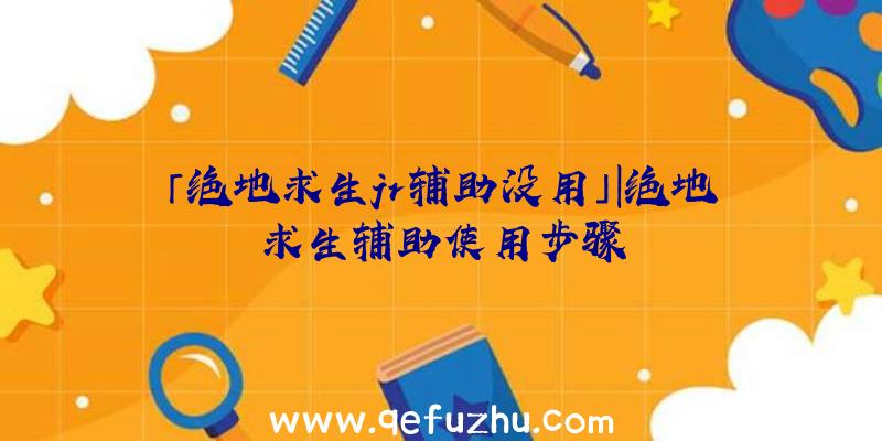 「绝地求生jr辅助没用」|绝地求生辅助使用步骤